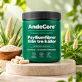 AndeCore™